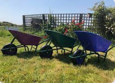 Three wheel barrows in a row