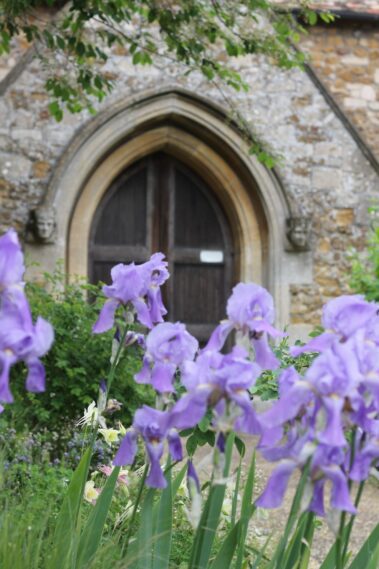 Church door in the summer with wild snap dragons blooming